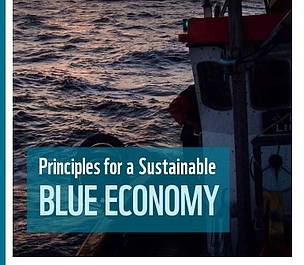 WWF: Principles, Inspiration, and Action for a Sustainable Blue Economy