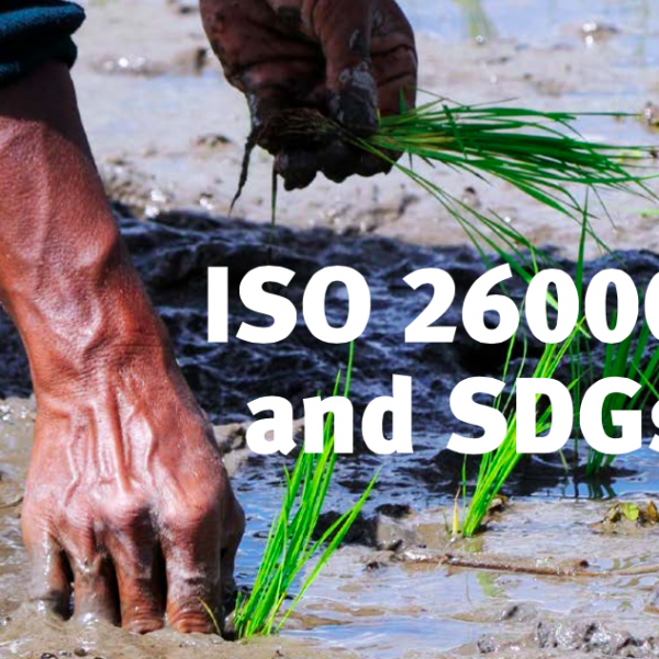 ISO 2600 and the SDGs