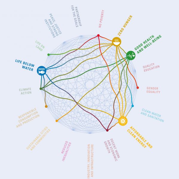 Unlocking the value of interconnection in the SDGs